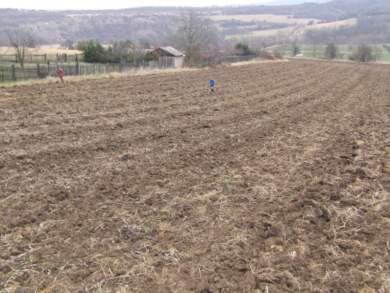 DSCF8252.jpg