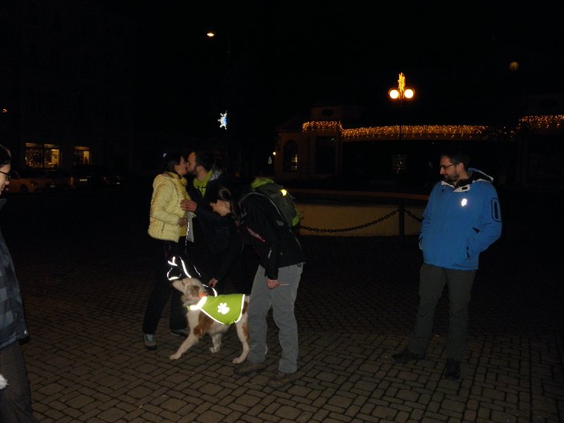 P1010002.jpg