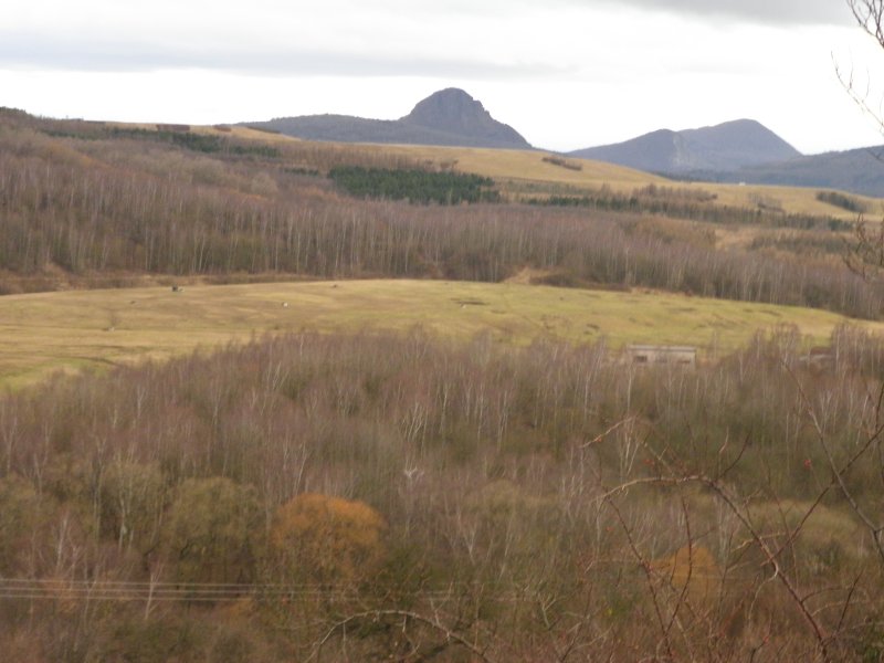 P1010008.jpg