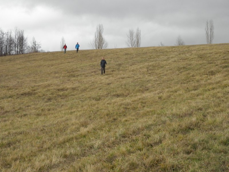 P1010014.jpg