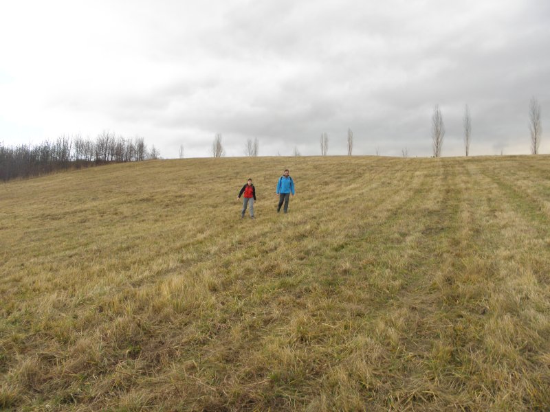 P1010016.jpg