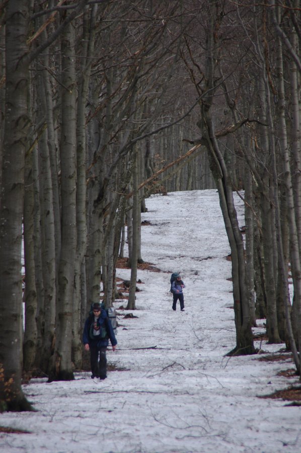 IMGP0335.jpg