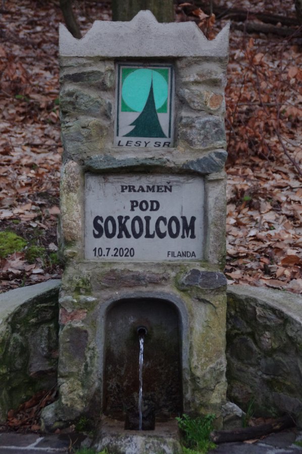 IMGP0375.jpg