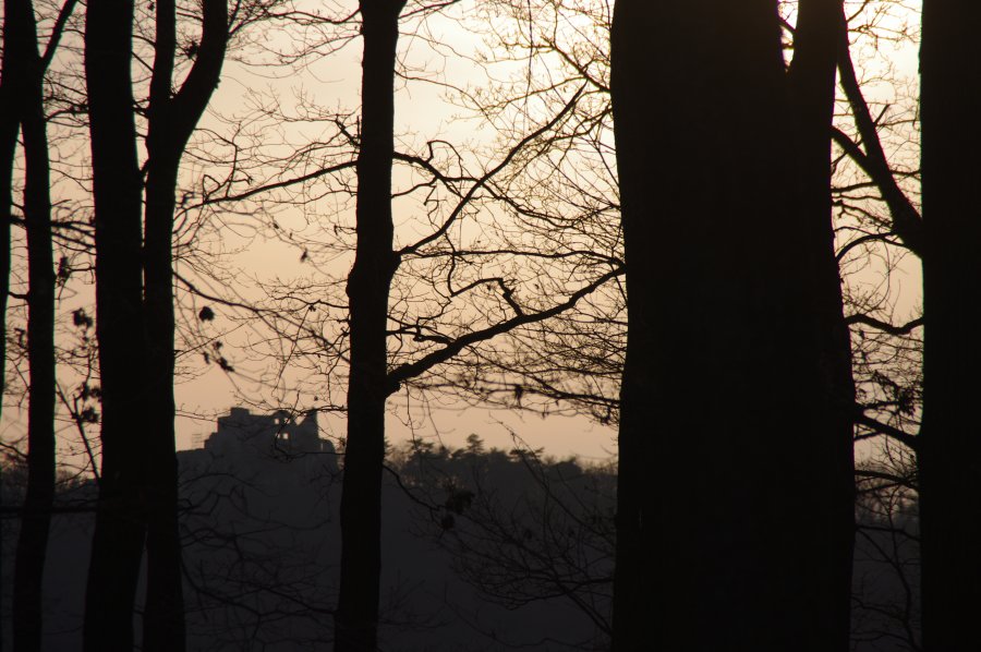 IMGP0424.jpg
