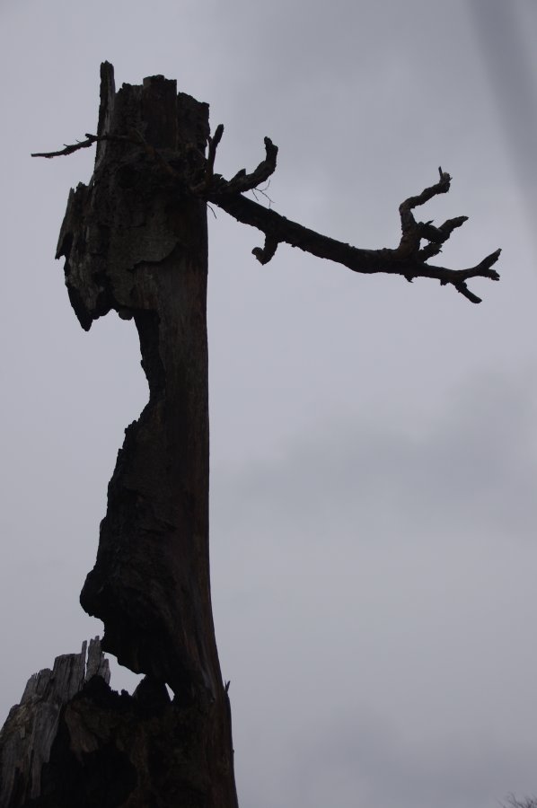 IMGP0471.jpg